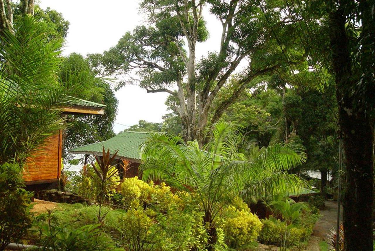 Villa Cabinas La Parcela Dominical Exterior foto