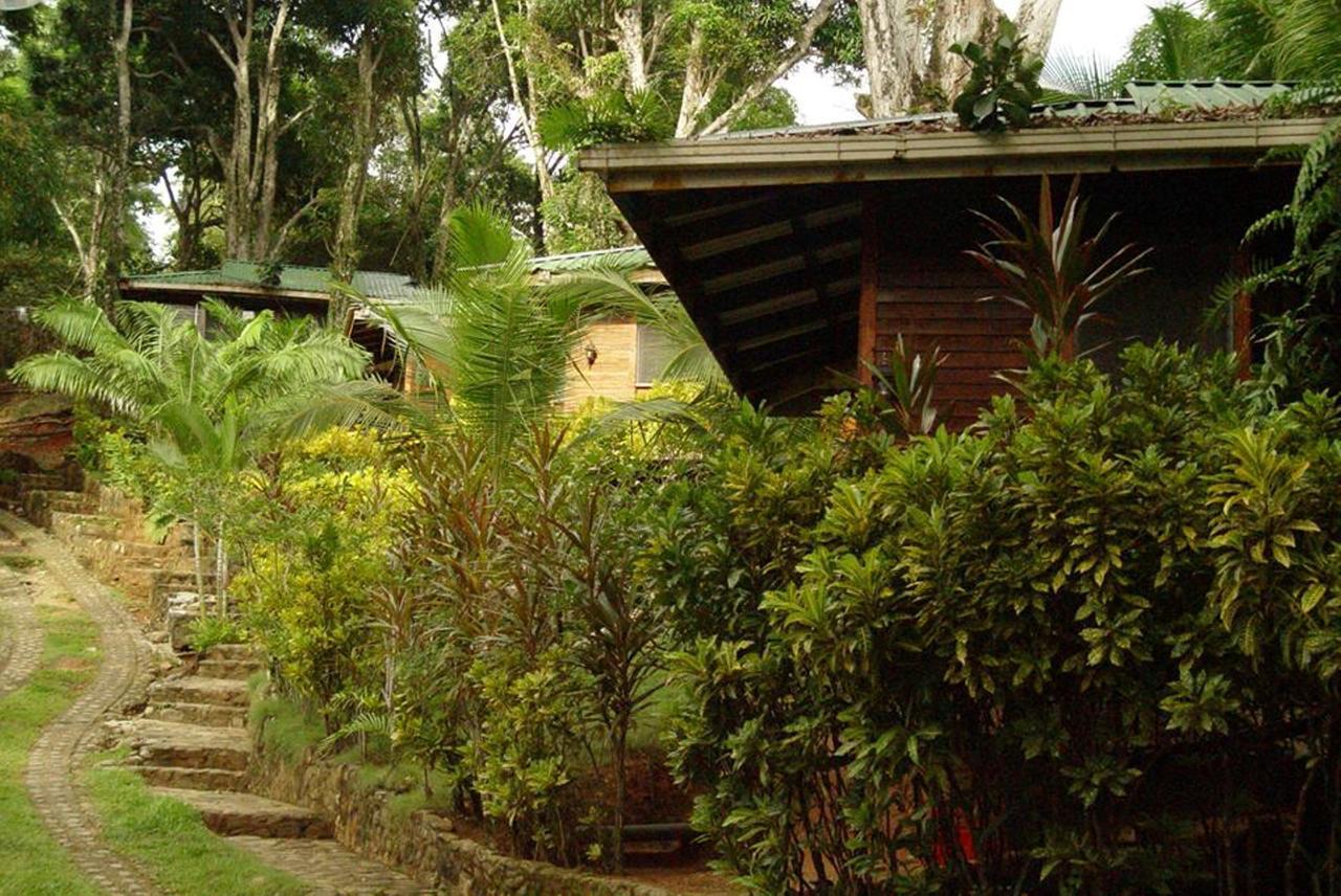 Villa Cabinas La Parcela Dominical Exterior foto